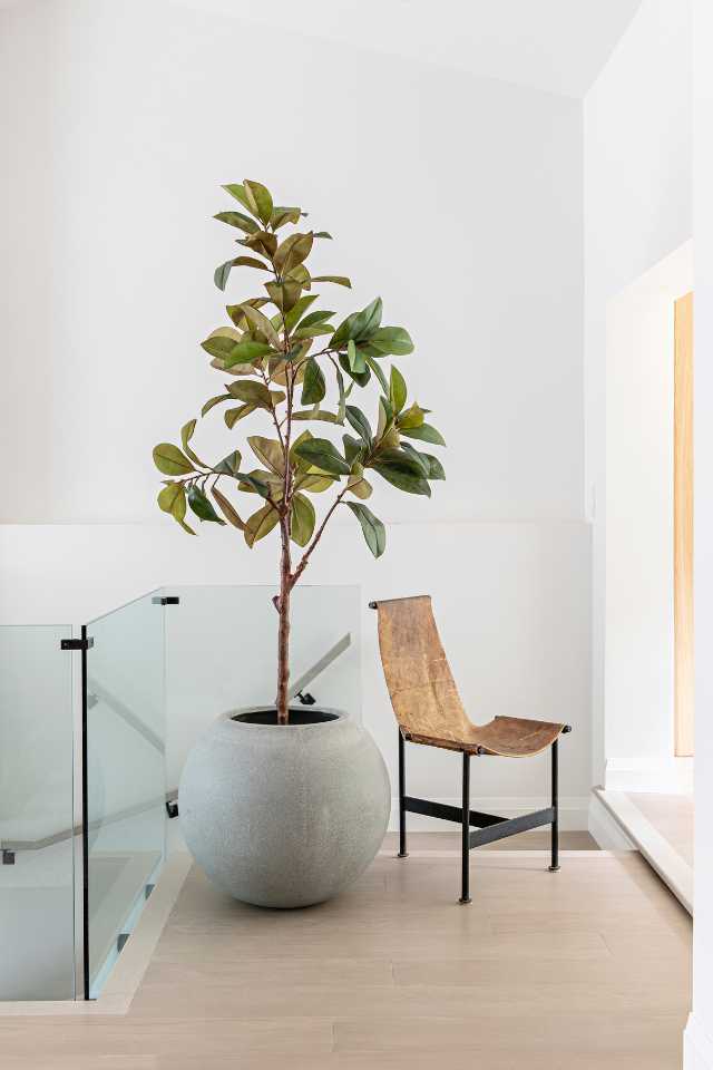 light oak wood flooring in sitting corner at top of the stairs with big potted plant